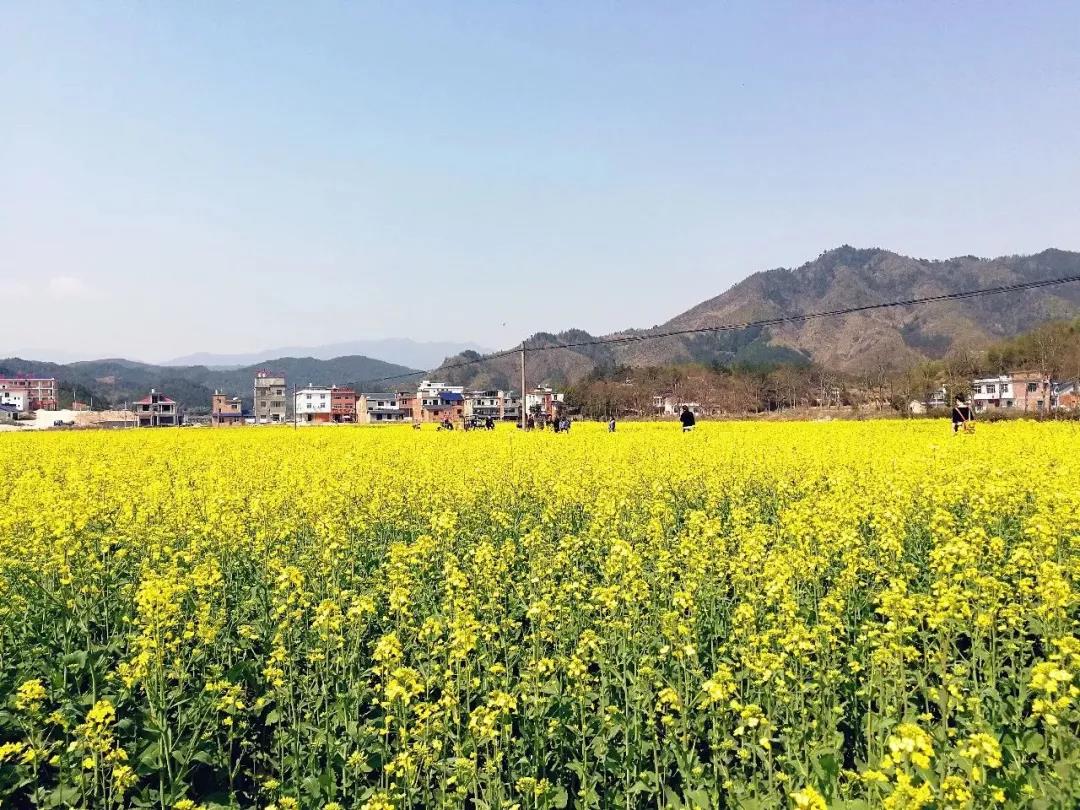 岳阳三荷机场交通介绍,岳阳三荷机场可飞哪几个城市
