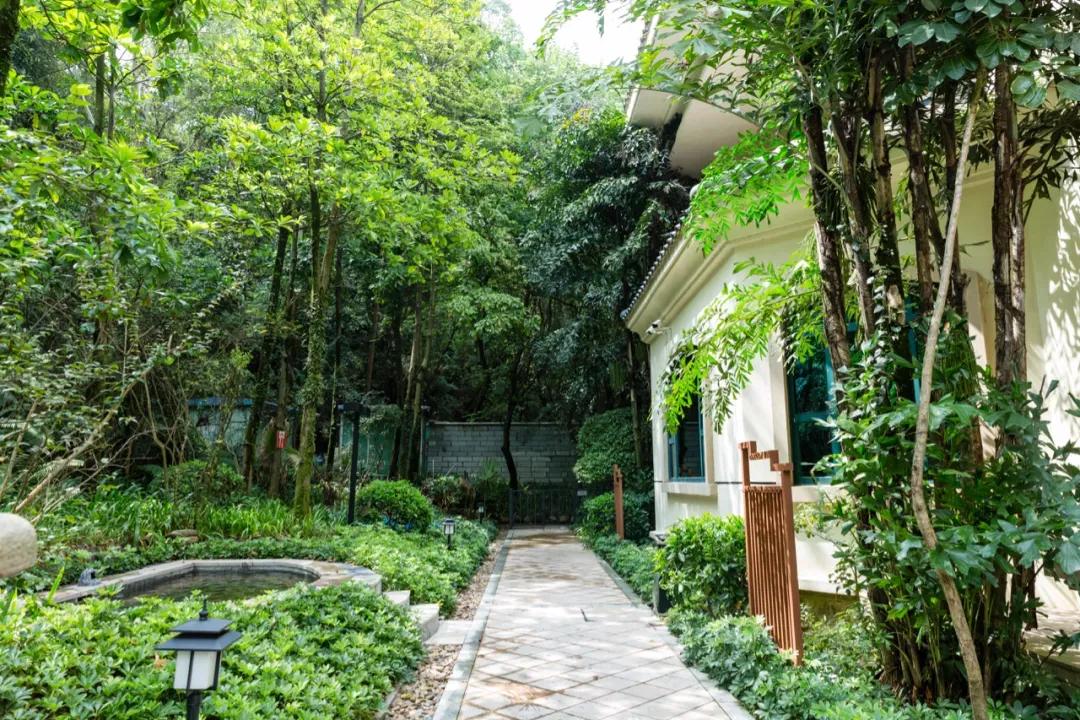 清远温泉度假村排行,清远温泉度假村酒店推荐