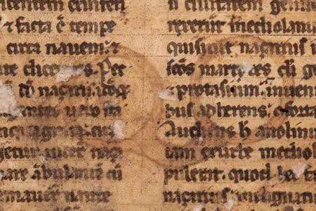 格蕾丝凯利是最美的人吗,格蕾丝凯利年轻照片