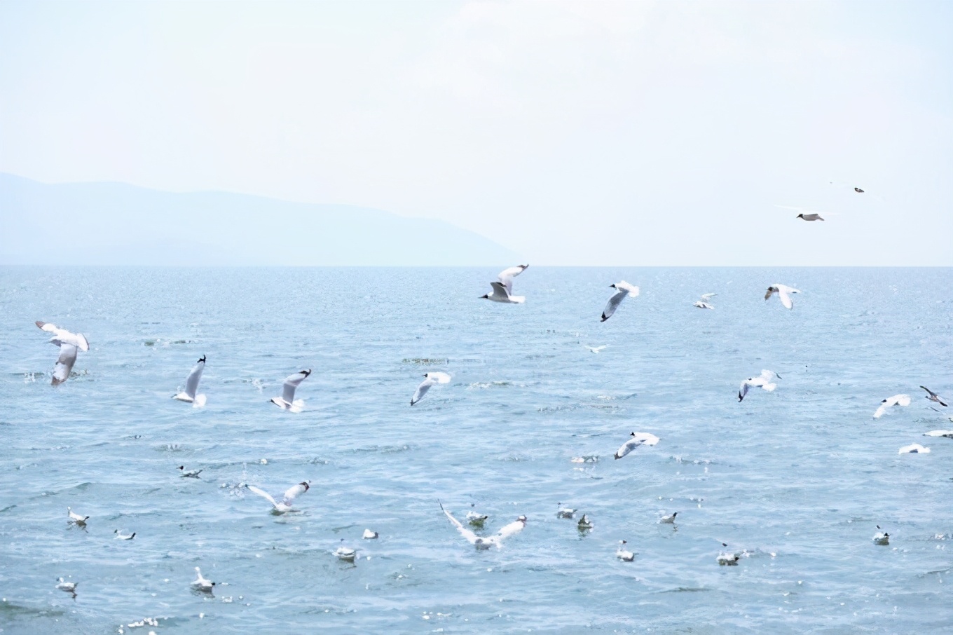 云南春节能去玩吗,春节去云南旅游需要带些什么
