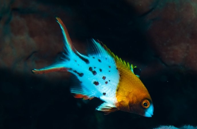 海底你不知道的东西,海底世界东海龙宫