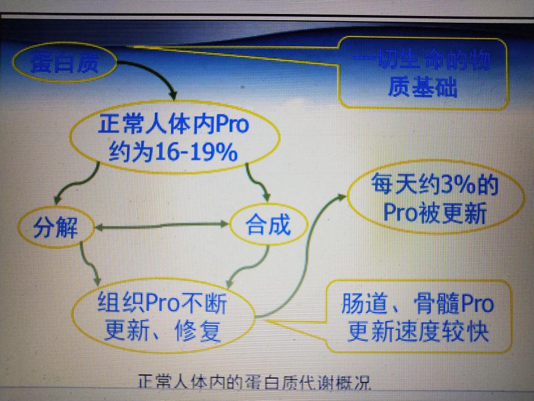 鍝铔嬬櫧璐ㄦ槸浼樿川铔嬬櫧,鍝簺铔嬬櫧璐ㄦ槸浼樿川铔嬬櫧