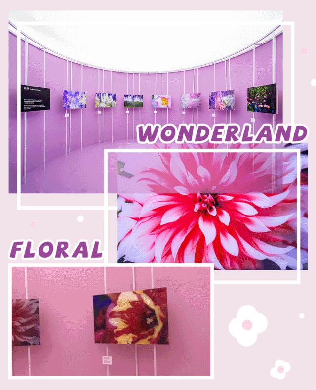 爱丽丝梦游仙境展演,爱丽丝冒险奇遇记演出上海