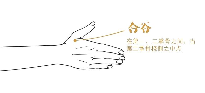 这四句话：头项寻列缺，肚腹三里留，腰背委中求，颜面合谷收！