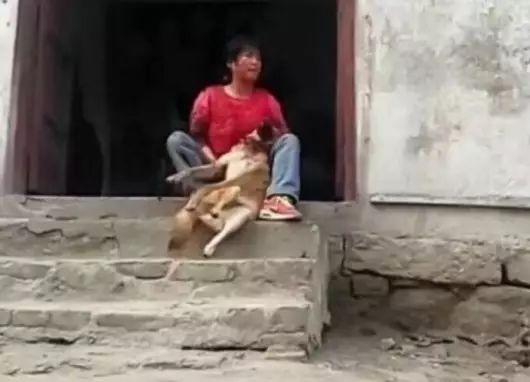 养狗的正确方法和建议,关于养狗的基本知识和方法