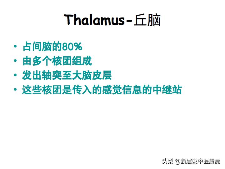 中枢神经系统断层解剖讲解,中枢神经3d解剖动画
