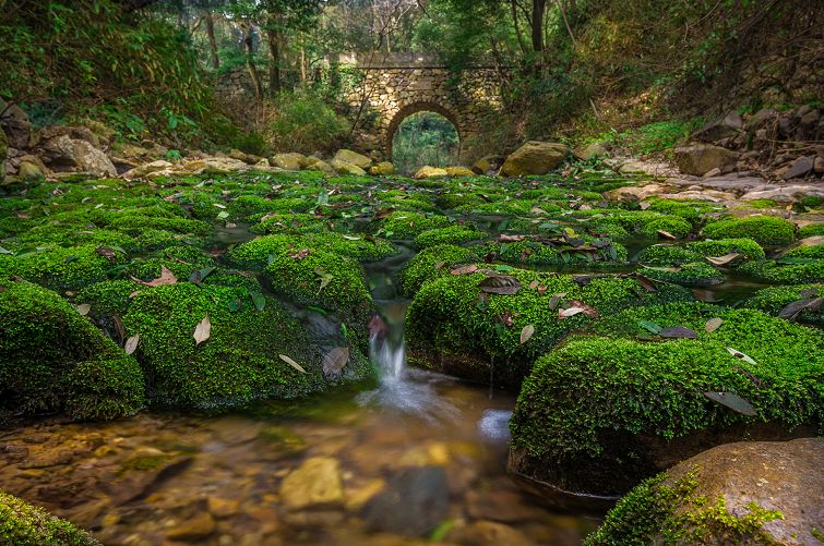 爬完所有雪山就释怀,爬完所有的名山
