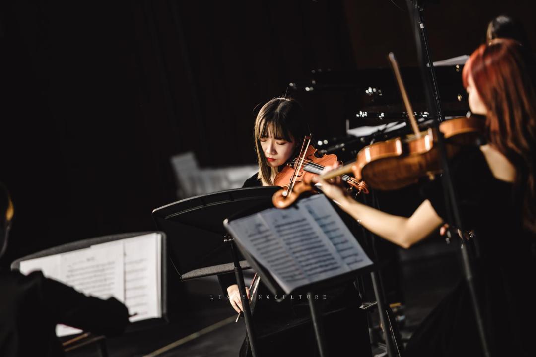 爱乐之城和海上钢琴师,海上钢琴师爱乐之城