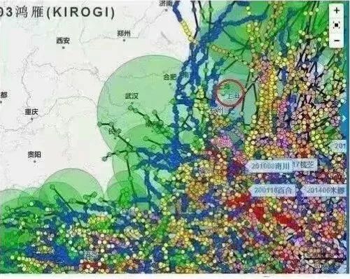 上海叫魔都广州叫什么,上海被称为魔都始于什么