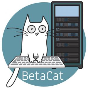 华为网络工程师认证含金量,华为认证hcip证书含金量