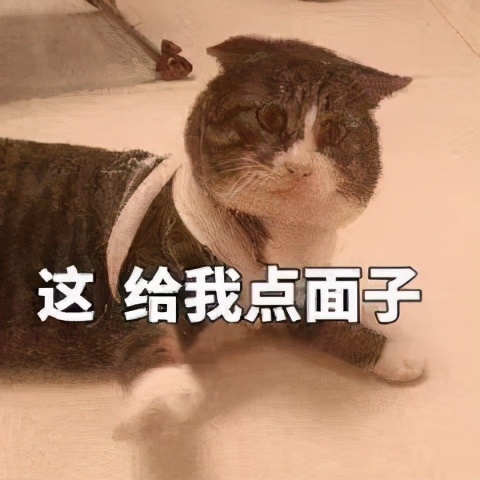 荒野健康循环训练视频,战绳提高心肺功能的训练