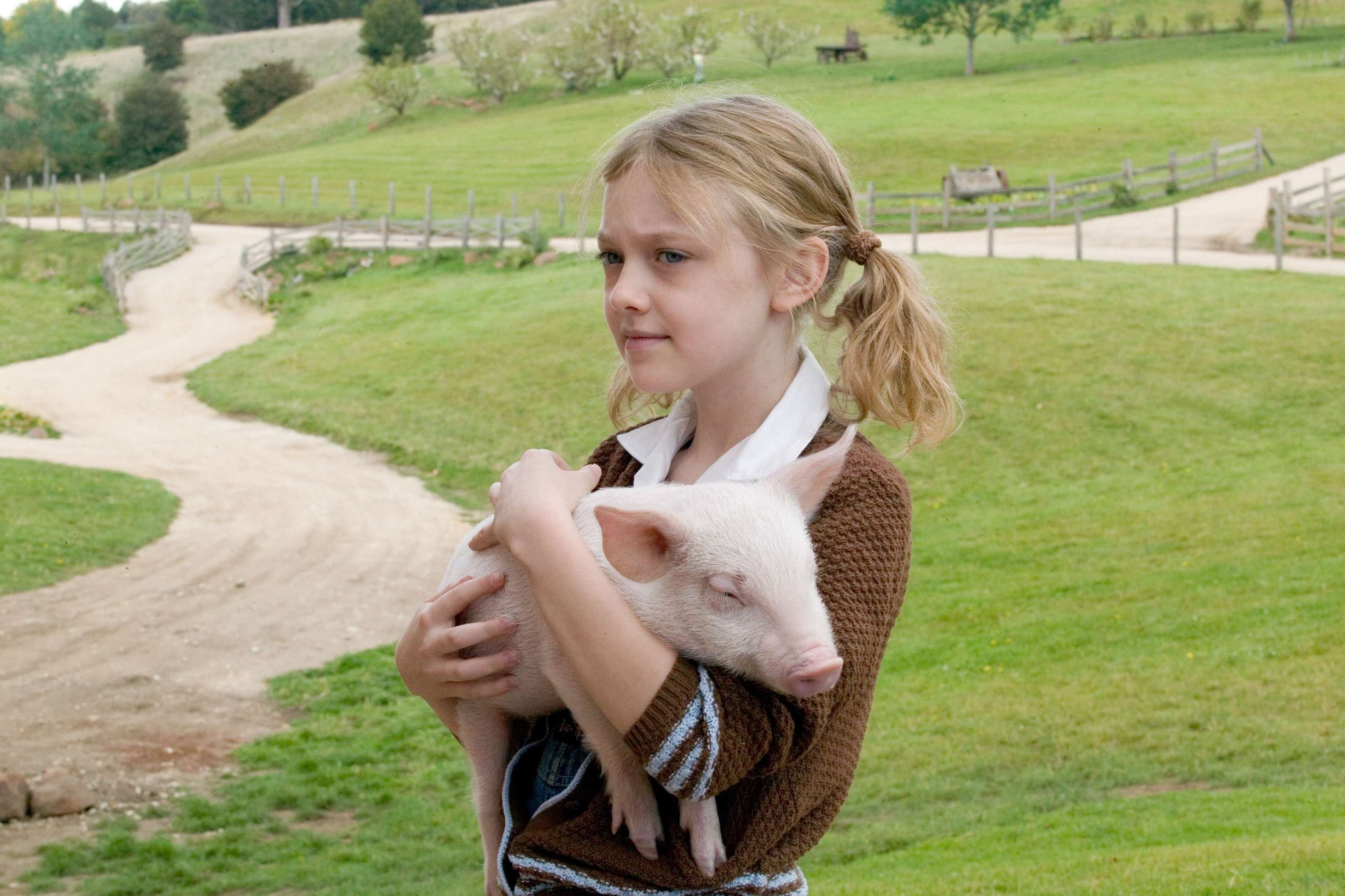 夏洛特的网钢琴简谱,夏洛特的网钢琴