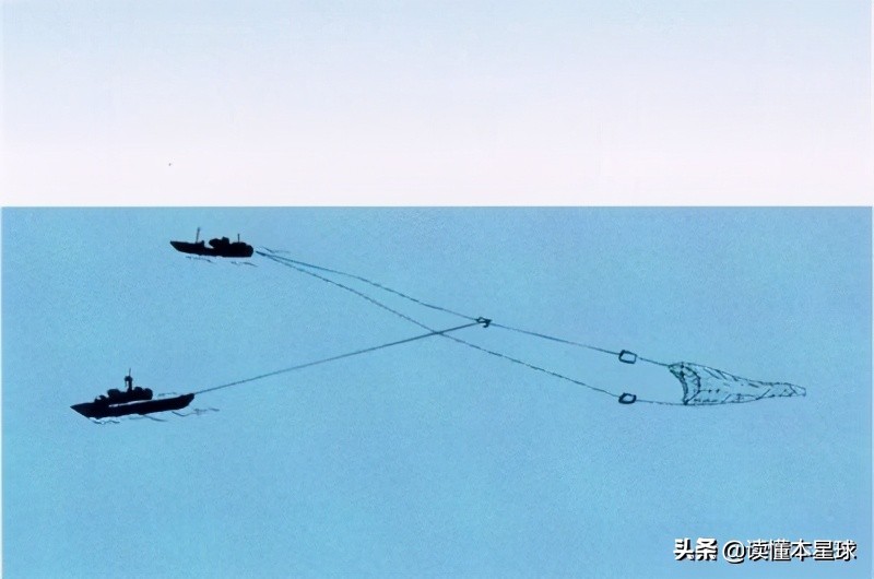 鳕鱼战争是怎么回事,英国和冰岛之间的鳕鱼战争