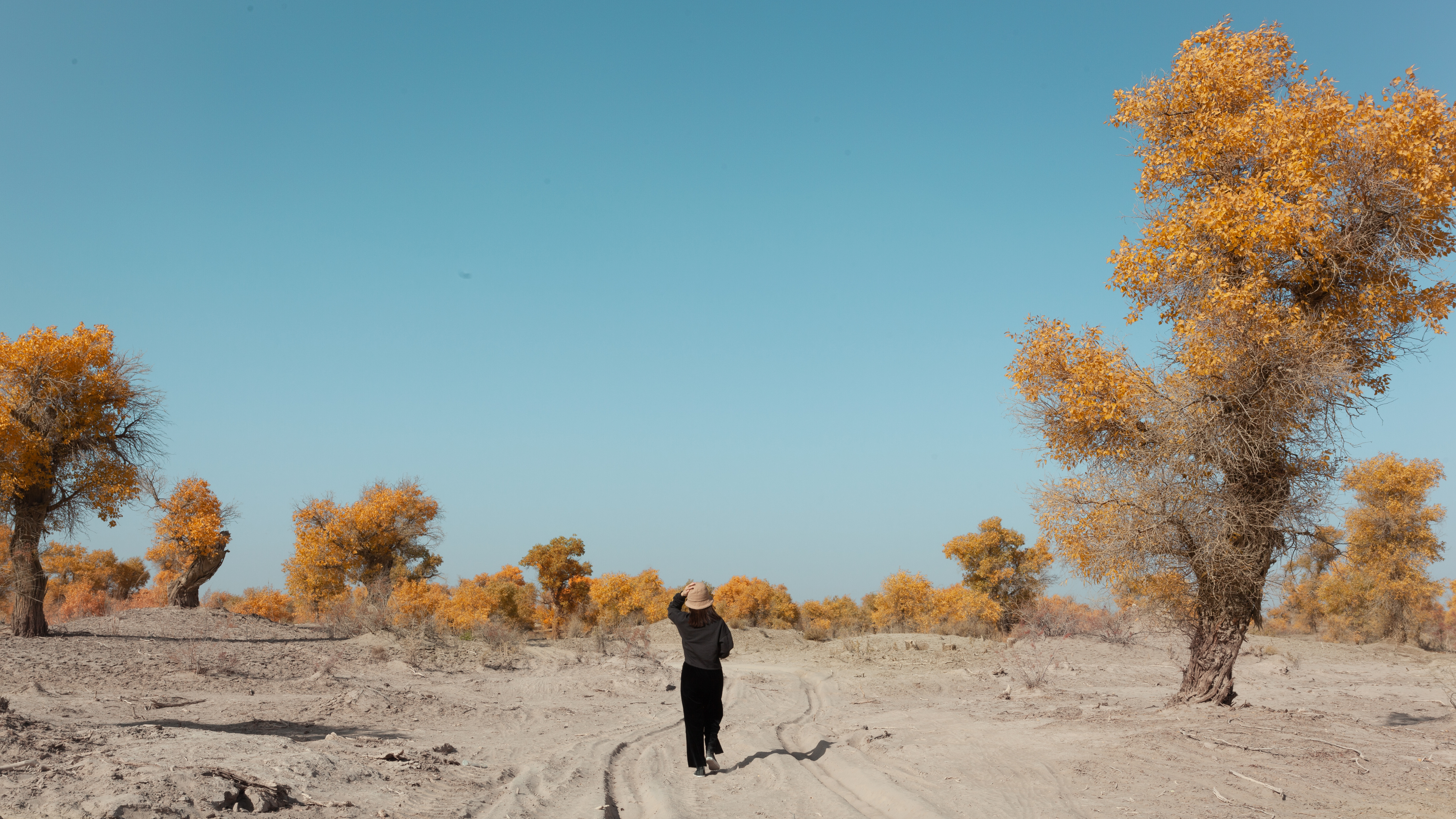 他告诉我，人有多大胆，远方就有多远