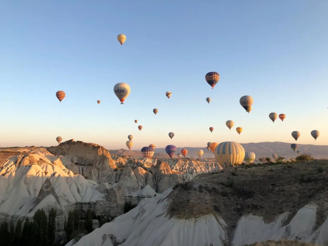 外星人有哪些卡欧斯形态,外星人的球星卡