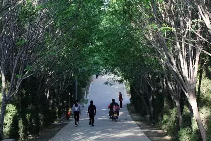 洛阳鹰嘴山沿黄公路自驾游攻略,洛阳旅游景点攻略最值得去的地方