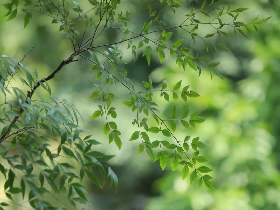 这160句国学经典全都是精华,这20句俗话说尽了人生