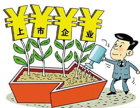 公司上市需要什么条件和流程,主板上市条件和创业板上市条件