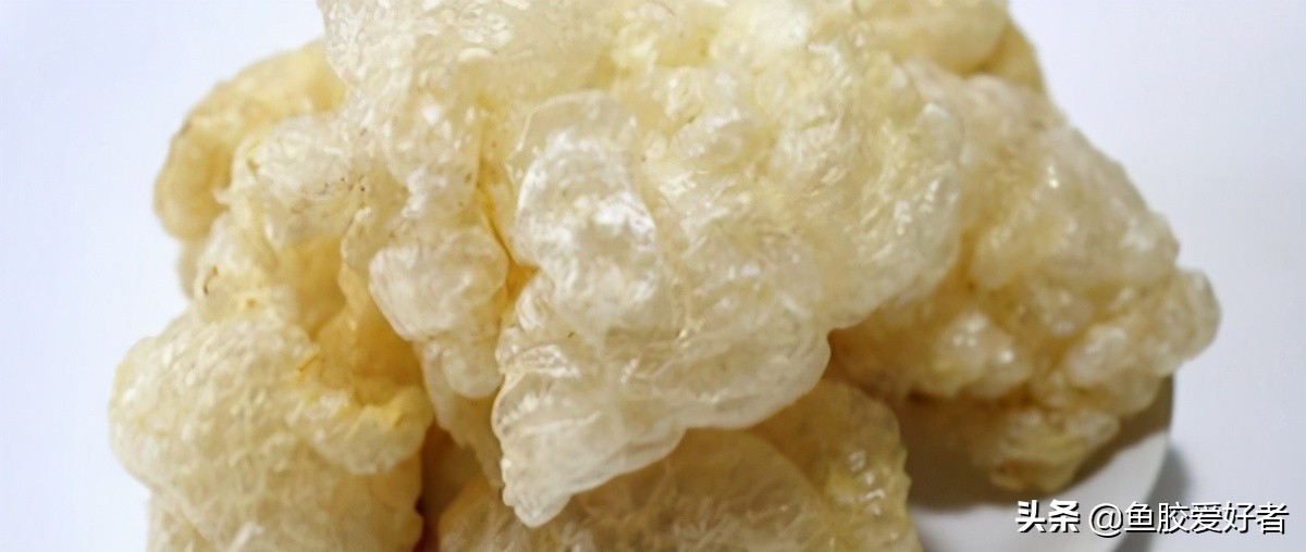 鱼胶正确的泡发方法和做法,鱼胶的制作方法最正宗