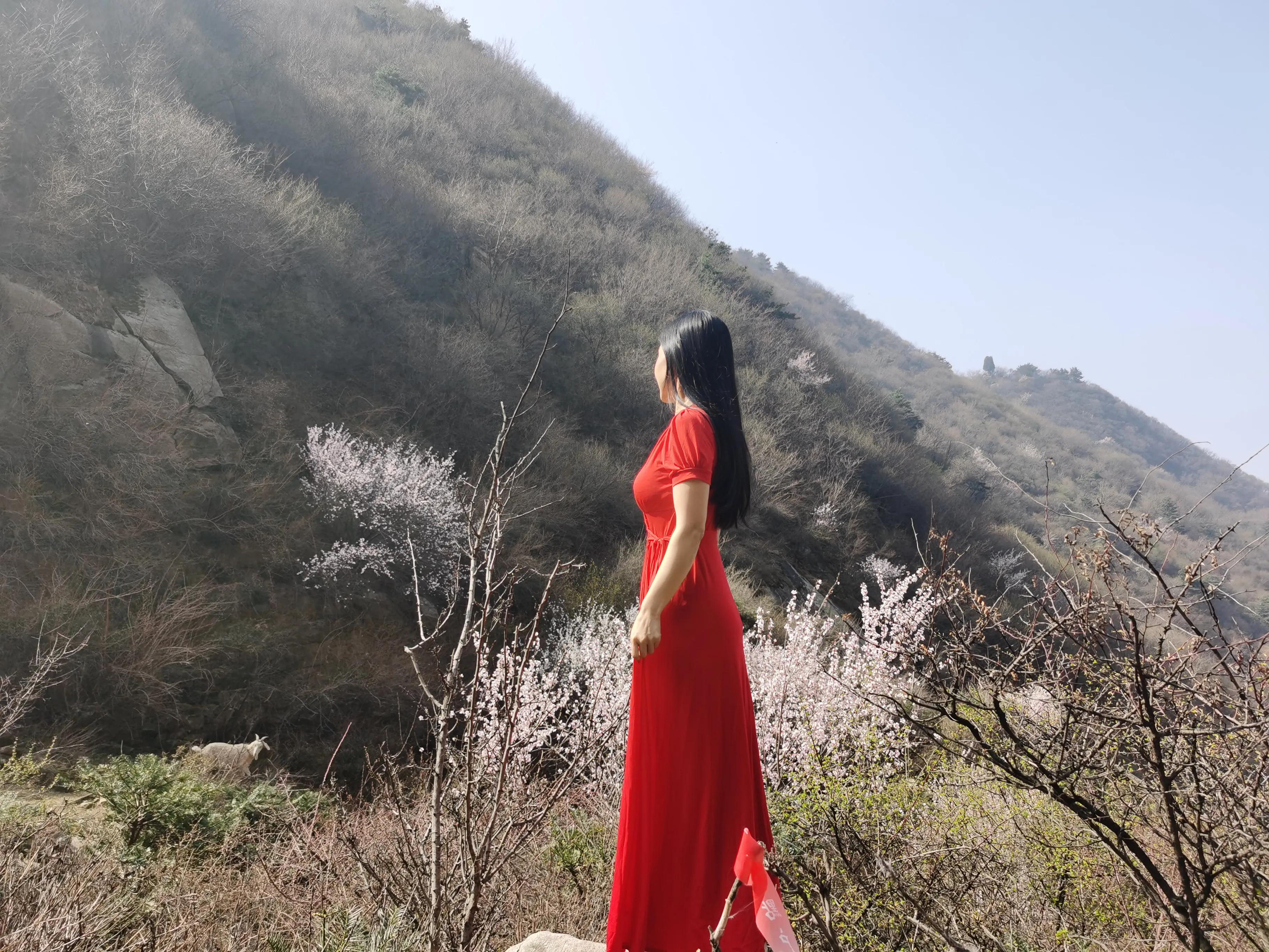 桃花依旧笑春风散文,关于桃花依旧笑春风的散文