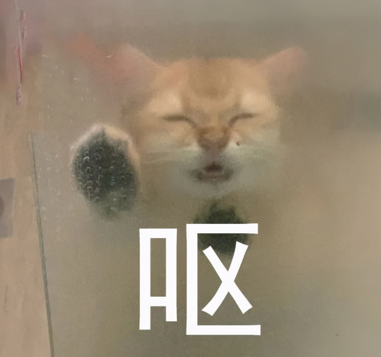 马桶里面不断冒污水,马桶溢出来粪便