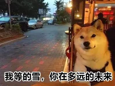 别争了，四川人内定了2021这个第一！