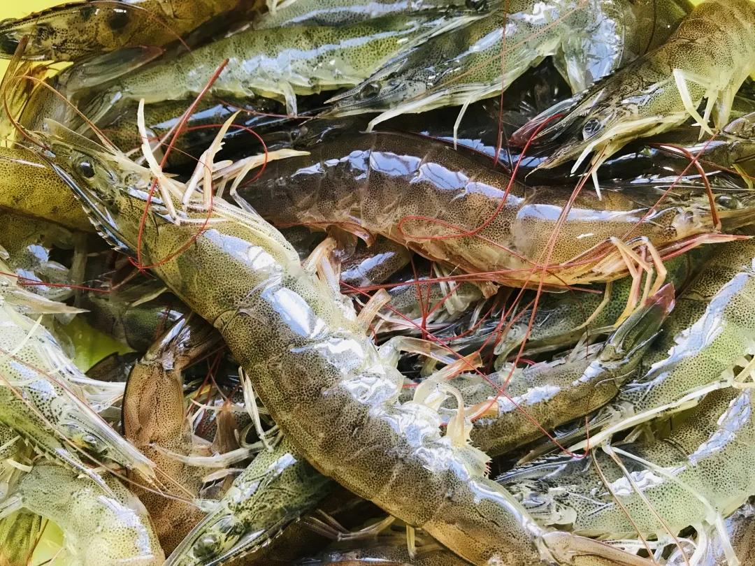 二十四节气古诗春分,二十四节气的春分