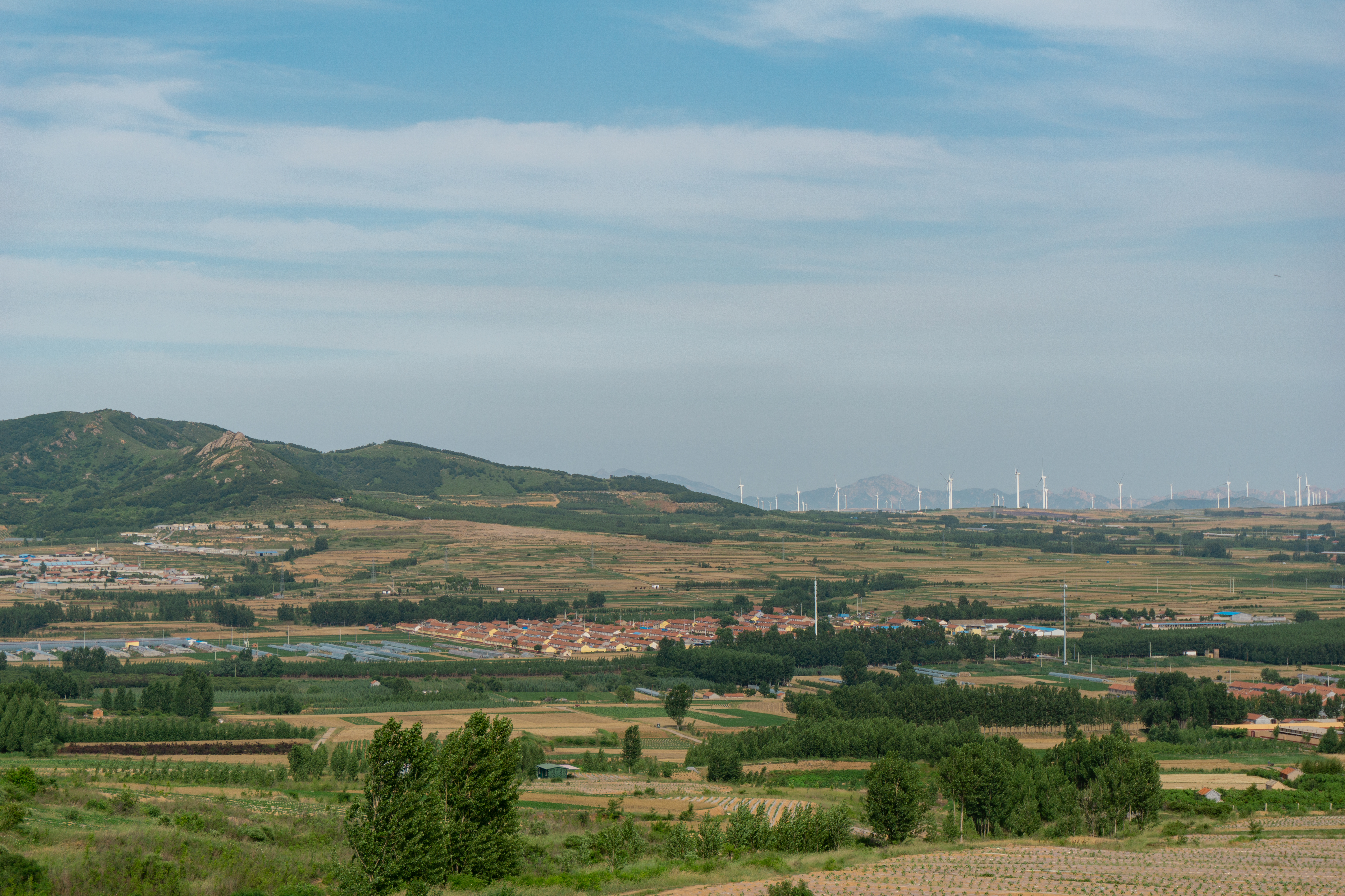 诸城人文地理,山东诸城有什么名胜