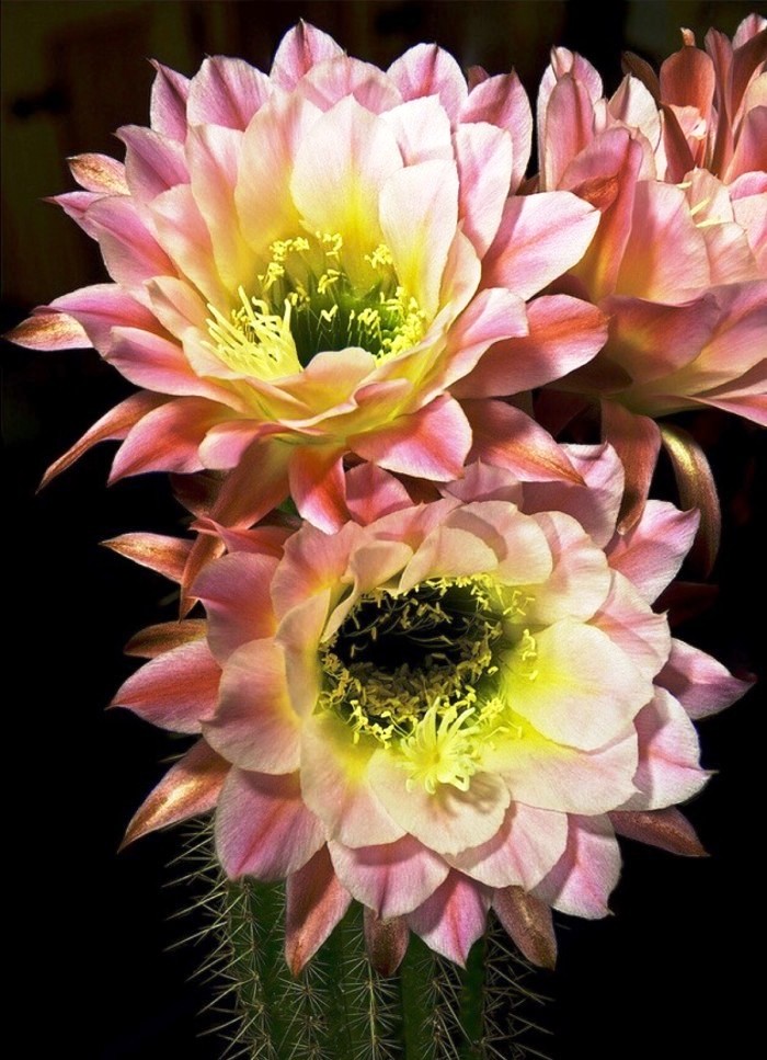 金句励志正能量人生语录大全,激励人心的句子正能量经典语录