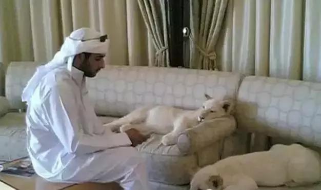 揭秘迪拜真实生活,国外生活真实记录迪拜