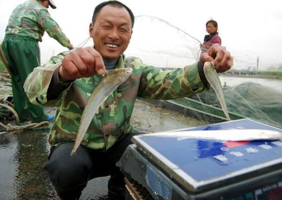 鱼翅燕窝中国的“顶级食材”？这6种才是佼佼者，吃不起过过眼瘾