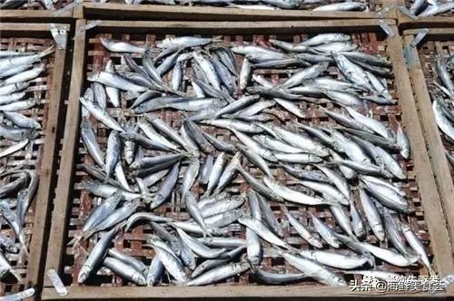 这四种海鱼干市面上很少能见到，在沿海地区才能买到，诱人食欲