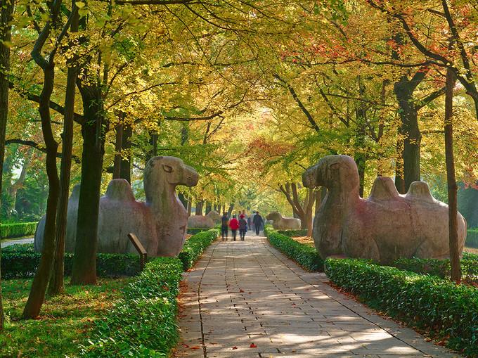 共和国荣誉勋章获得者钟南山照片,共和国勋章钟南山院士事迹