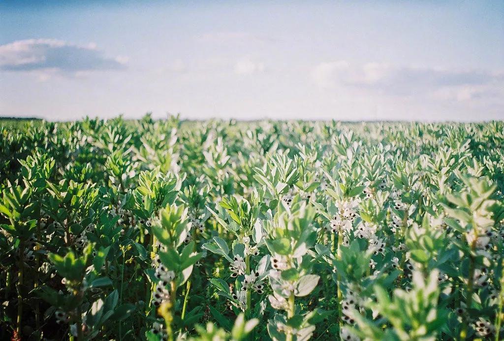 一年四季光阴流转的诗句,诗词陪我们走过人生的四季