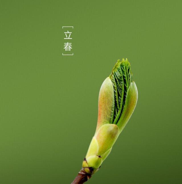 n95口罩能通过快递邮寄吗,顺丰邮寄n95口罩