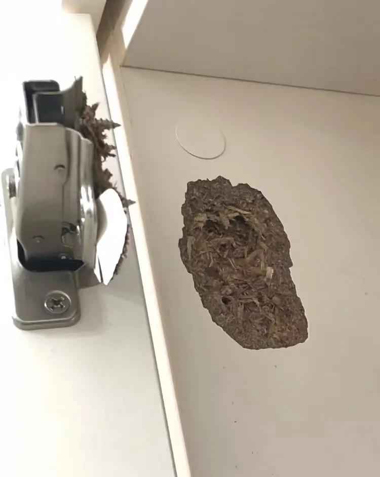 全屋定制到底有没用，看这篇就够了…