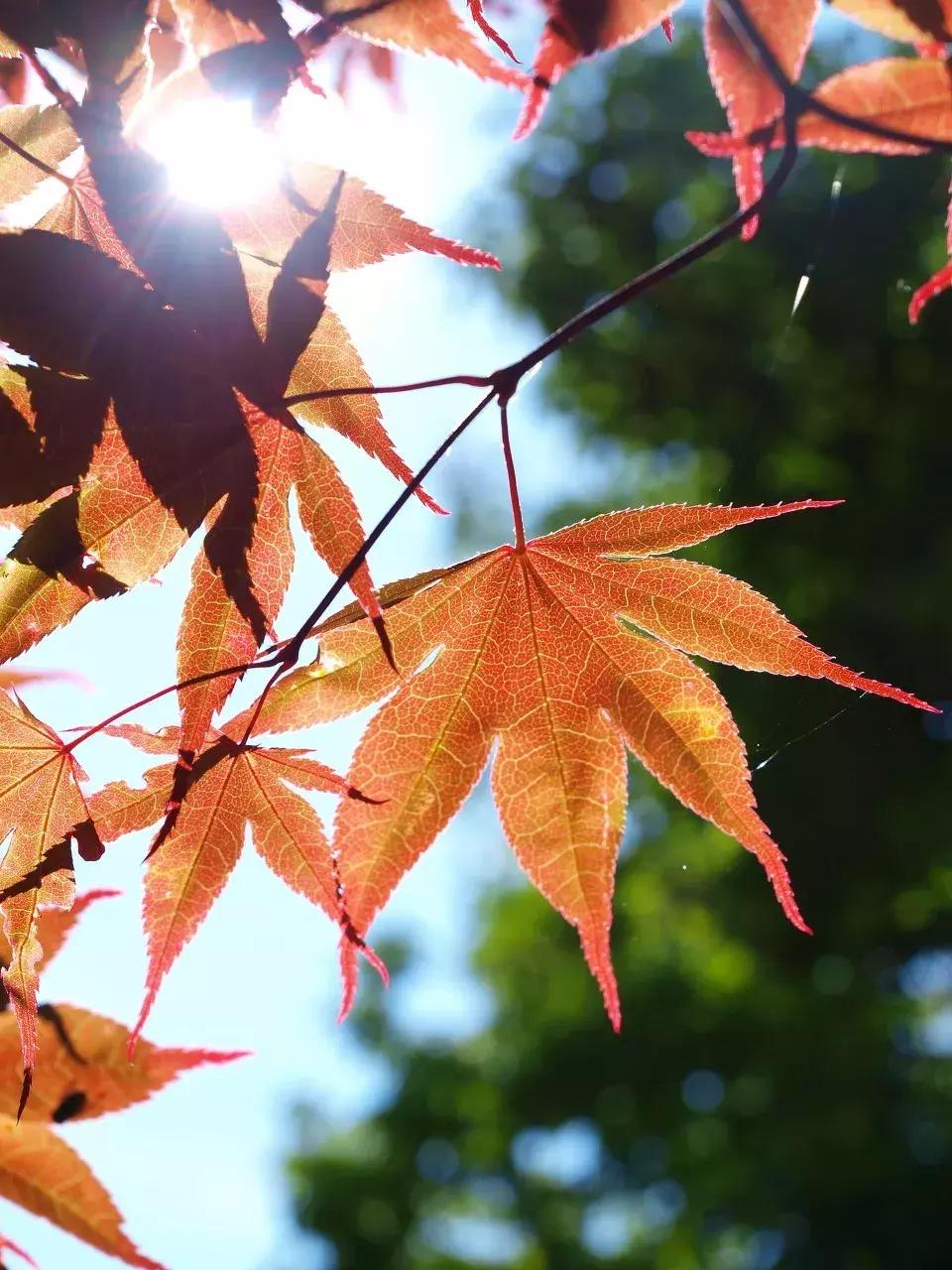 丽江最美的一个地方,中国最美100个地方丽江