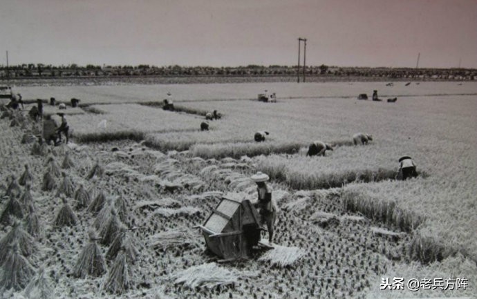 五十年代至七十年代人民公社,6070年代人民公社