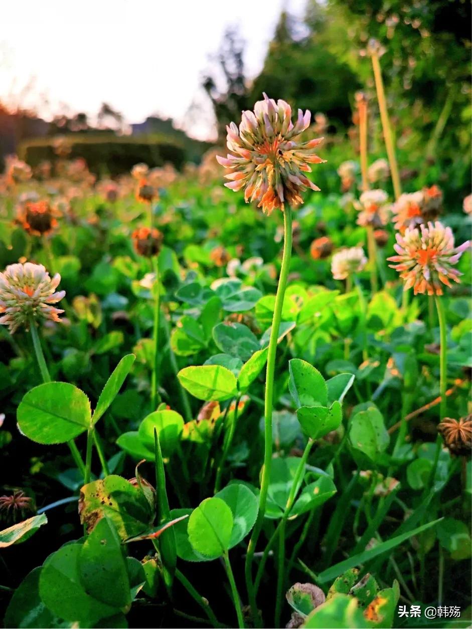 出游不必远行,出游不再烦恼