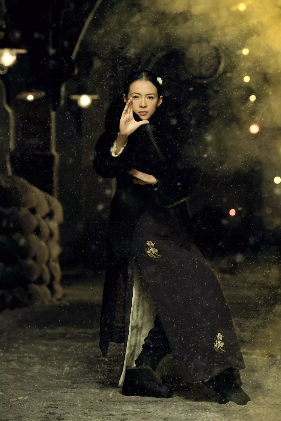 她是那个最会拍女人电影的王家卫的最新的王氏女郎