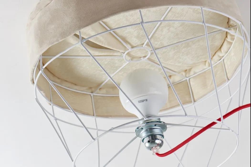 未来5年宠物智能产品,宠物产品logo设计