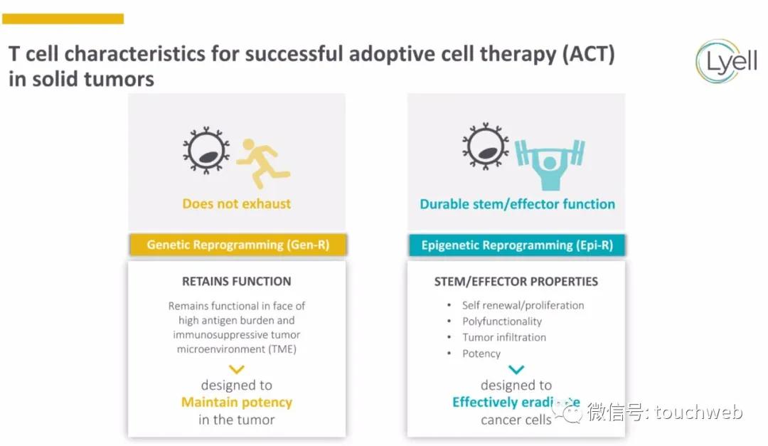 肿瘤免疫治疗公司Lyell冲刺美股：年亏2亿美元路演PPT曝光