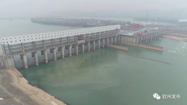 vr直播24小时,vr直播广西