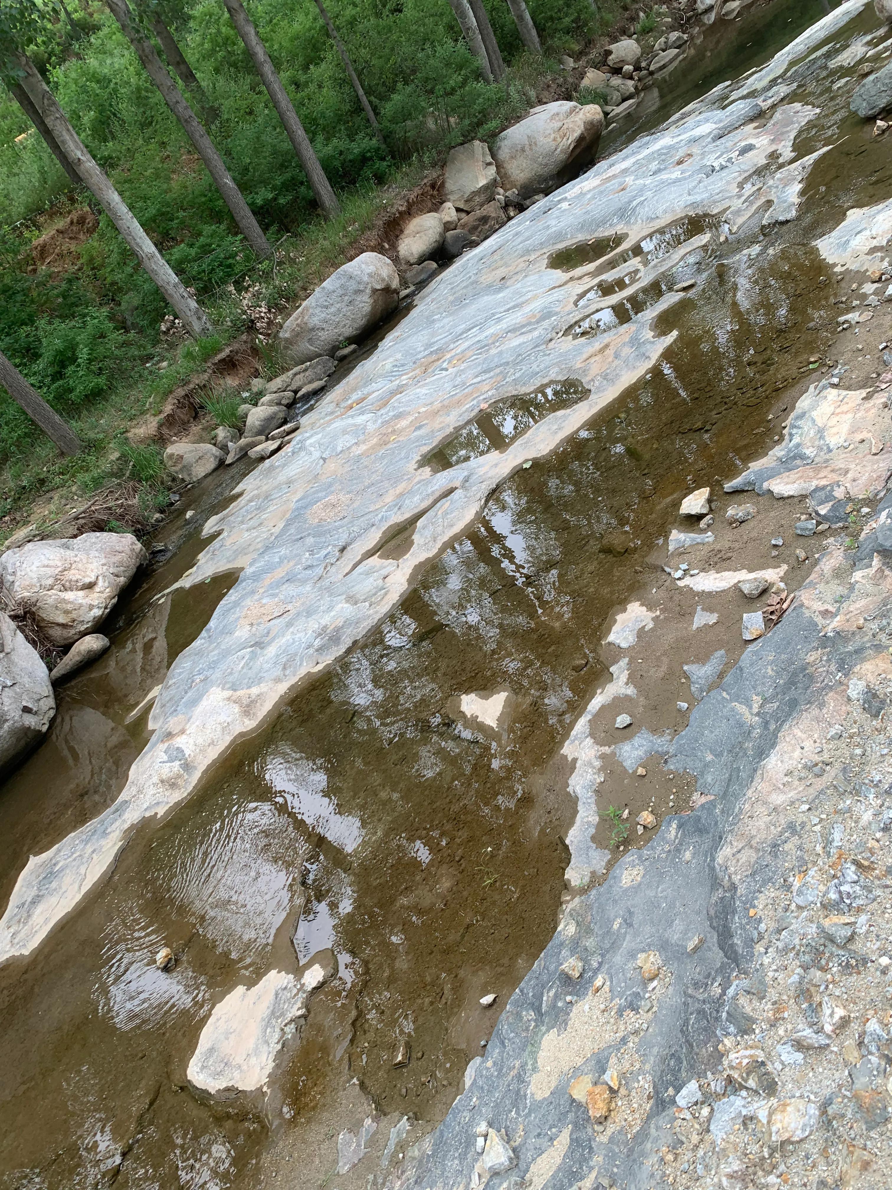 一朵花的守候——七峪沟纪行