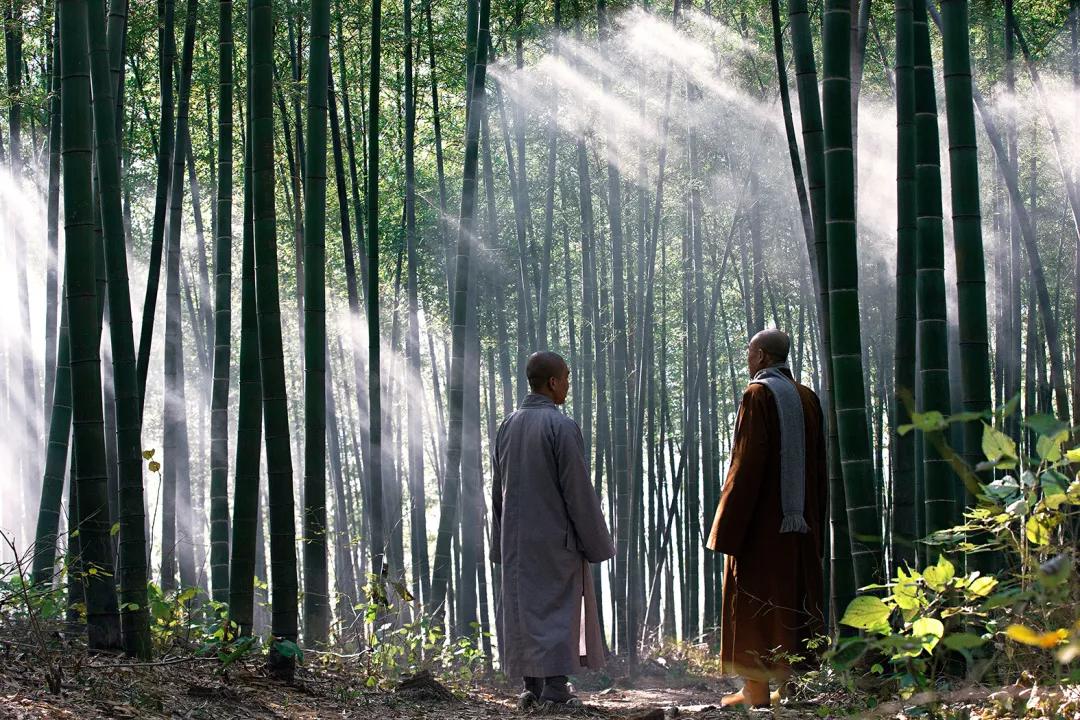 抗击疫情西安临潼在行动,抗击疫情路上我们在行动