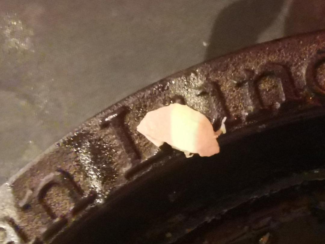 中国网红鼻祖市值,中国第一位网红鼻祖大揭秘