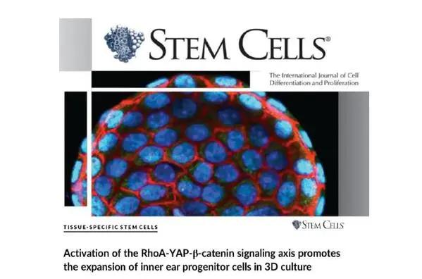 复旦大学医学神经生物学国家重点实验室2020年科研成果汇编