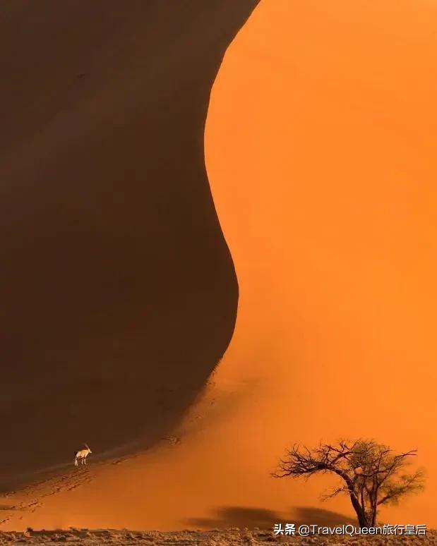 这9个没有确诊的国家，请继续美好