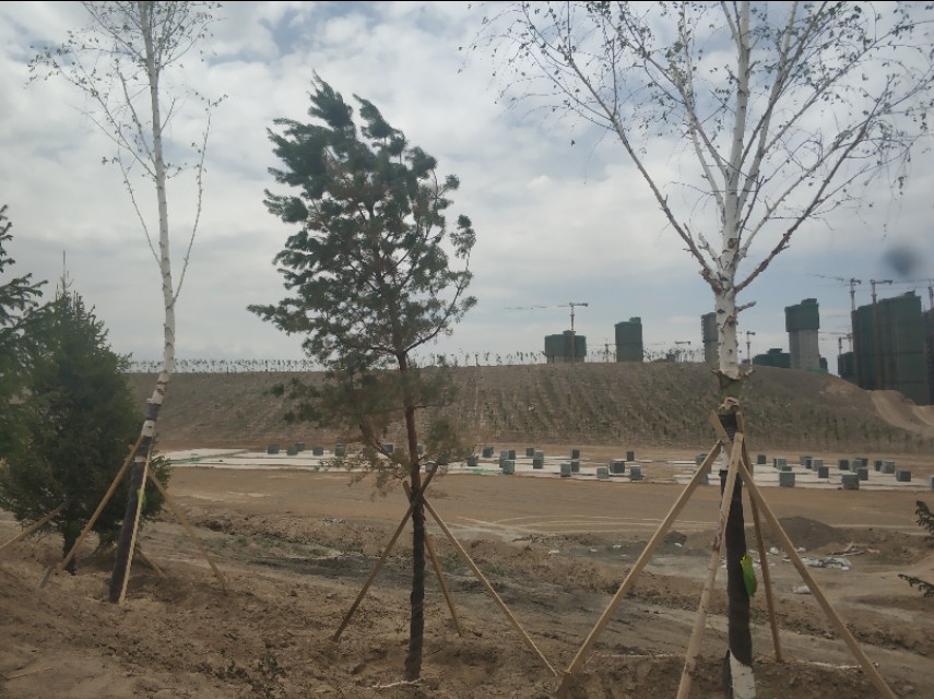 乌鲁木齐新建楼房,乌鲁木齐规划新建350米高楼