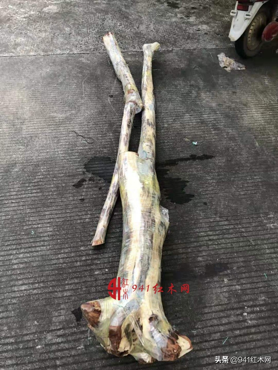 越南黄花梨叫什么,越南黄花梨木的特点